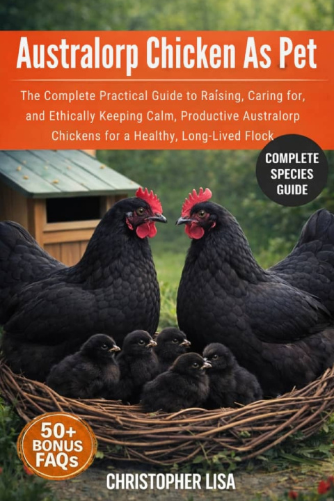 Kniha AUSTRALORP CHICKEN AS PET CHRISTOPHER LISA