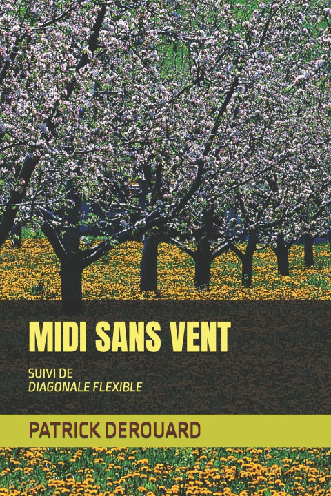 Kniha MIDI SANS VENT PATRICK DEROUARD