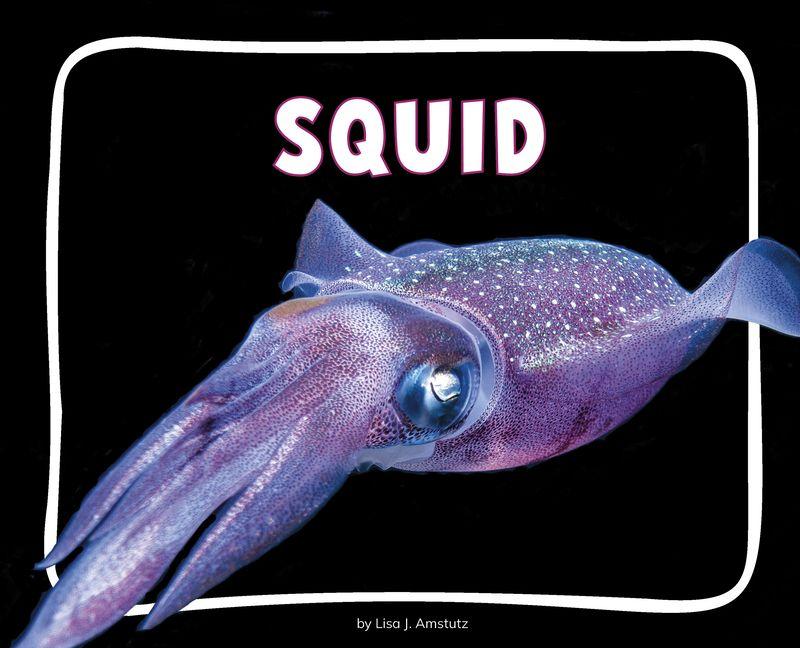 Könyv Squid 
