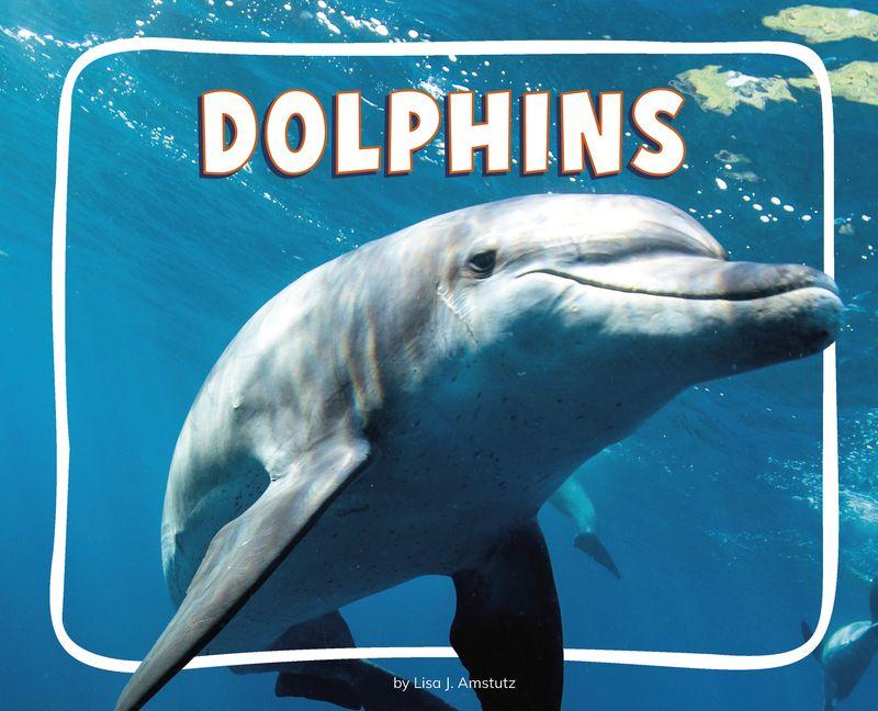 Kniha Dolphins 