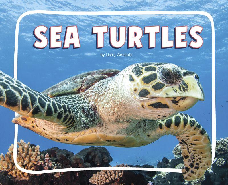 Kniha Sea Turtles 