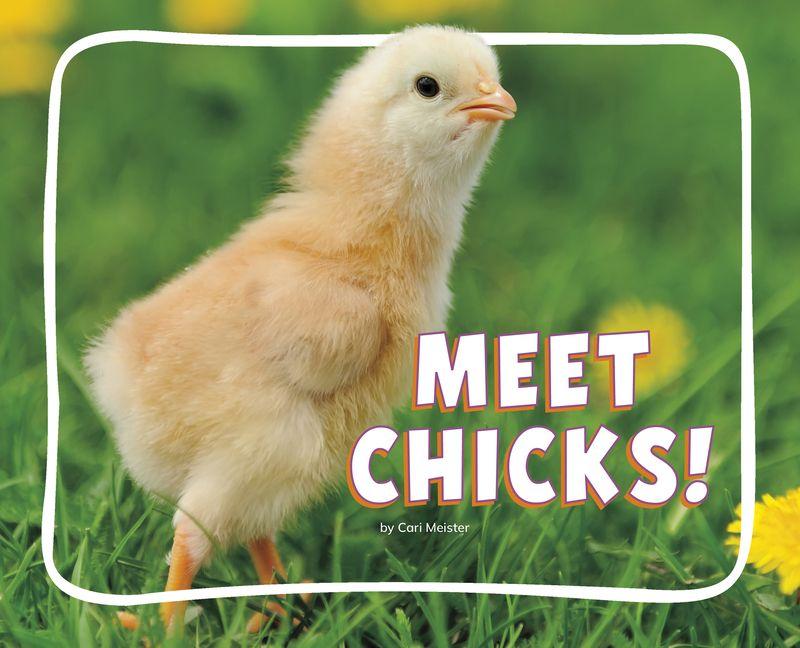 Kniha Meet Chicks! 