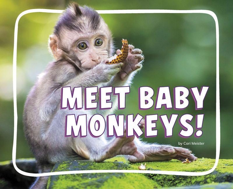 Knjiga Meet Baby Monkeys! 