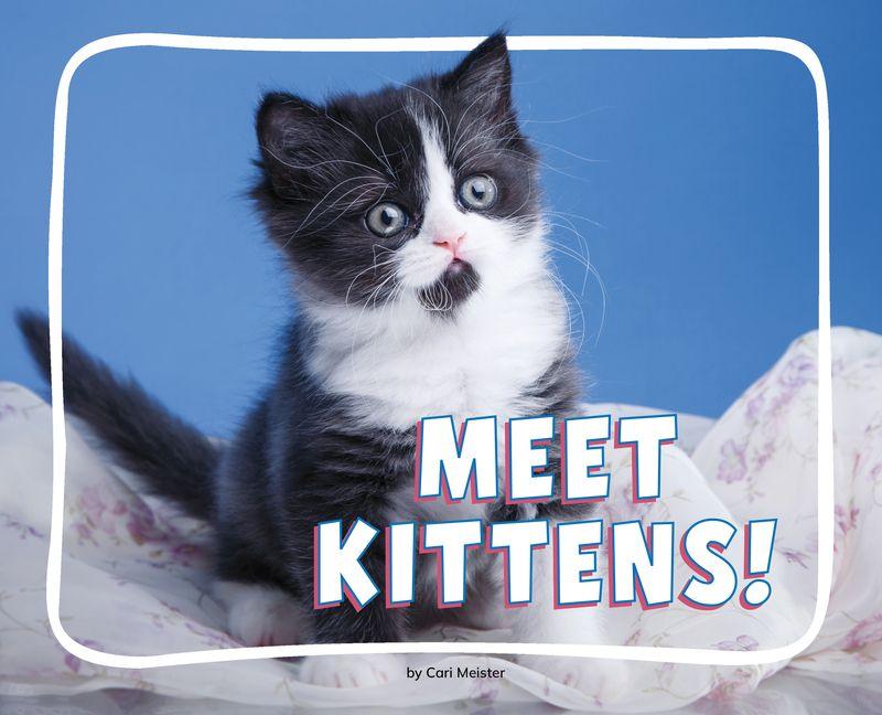 Kniha Meet Kittens! 