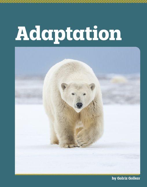 Kniha Adaptation 