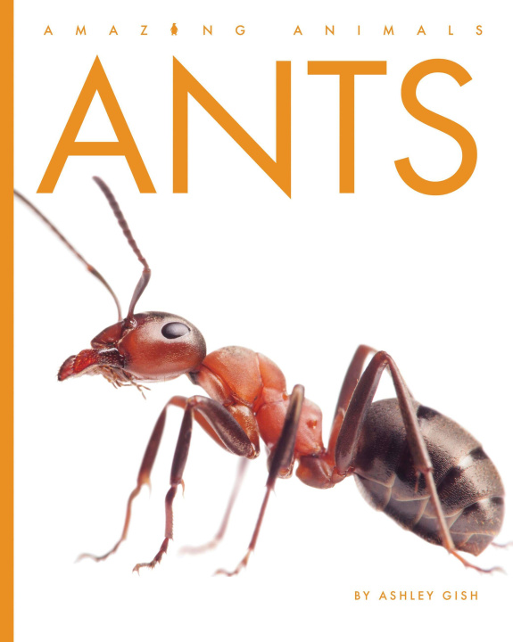 Kniha Ants 