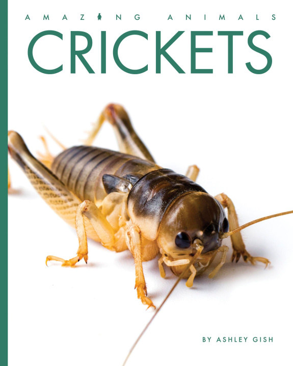 Kniha Crickets 