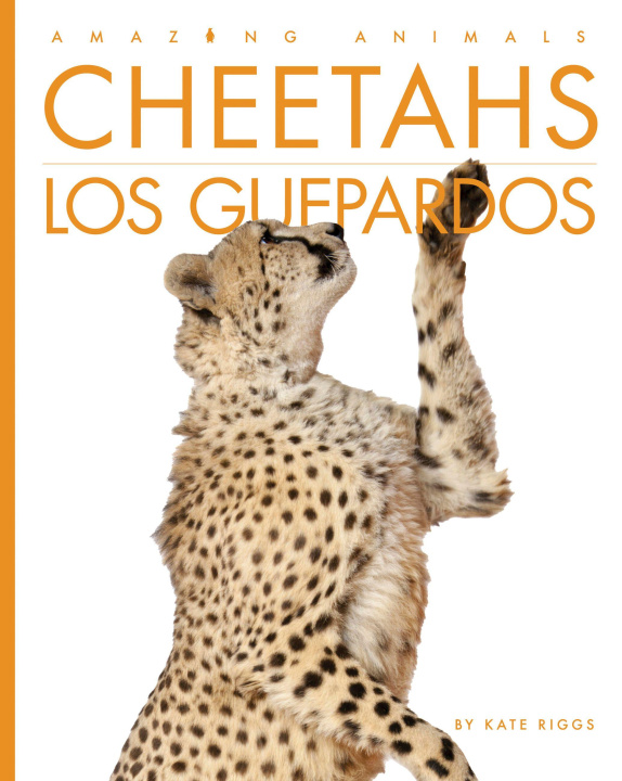 Kniha Cheetahs / Los Guepardos 