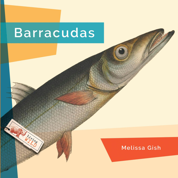 Kniha Barracudas 