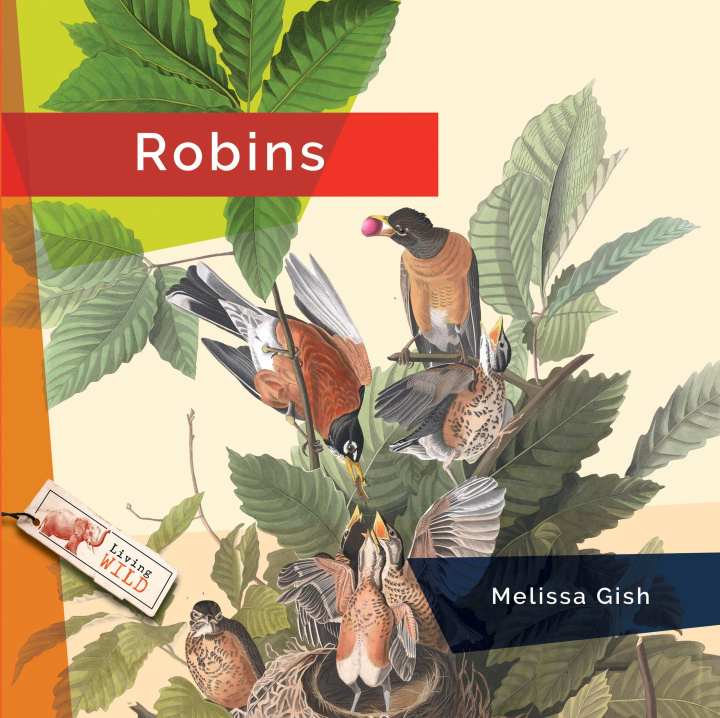 Könyv Robins 