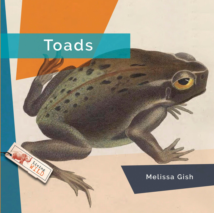 Kniha Toads 