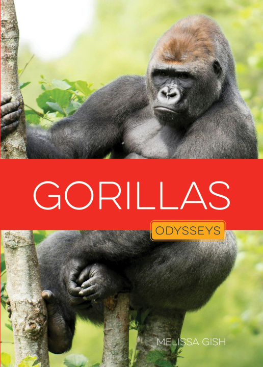 Kniha Gorillas 