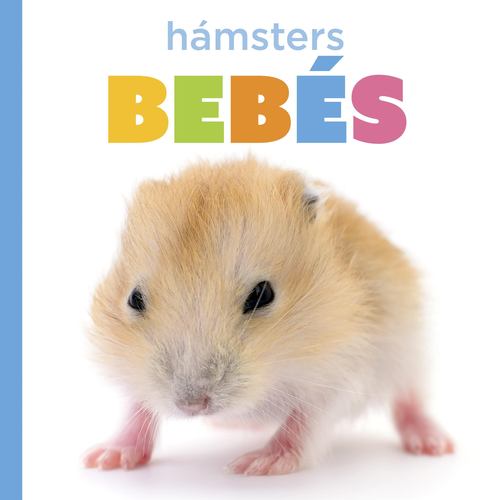 Buch Hámsters Bebés Murray
