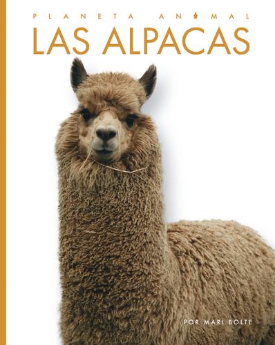 Kniha Las Alpacas Bolte