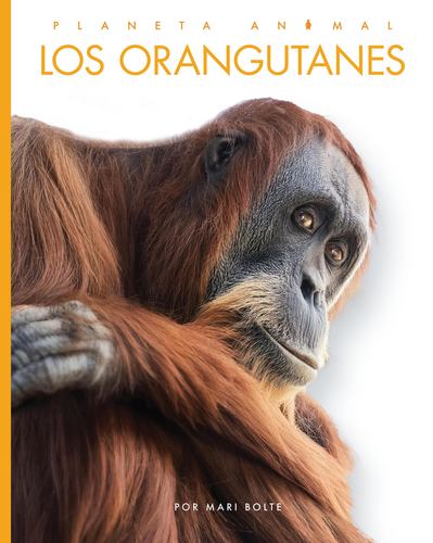 Kniha Los Orangutanes Bolte