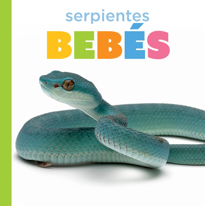 Kniha Serpientes Bebés 