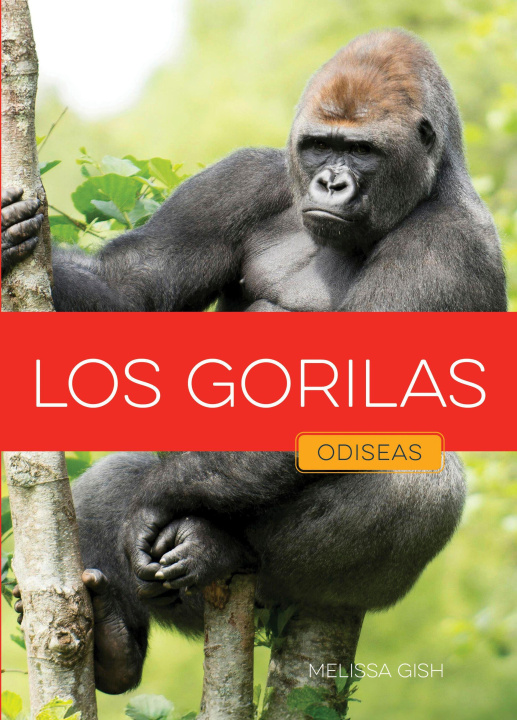 Kniha Los Gorilas 