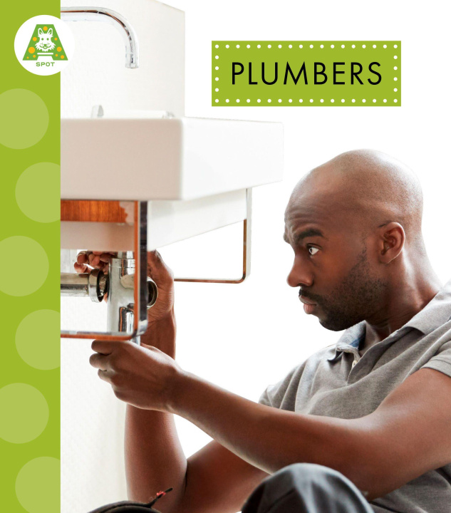 Kniha Plumbers 