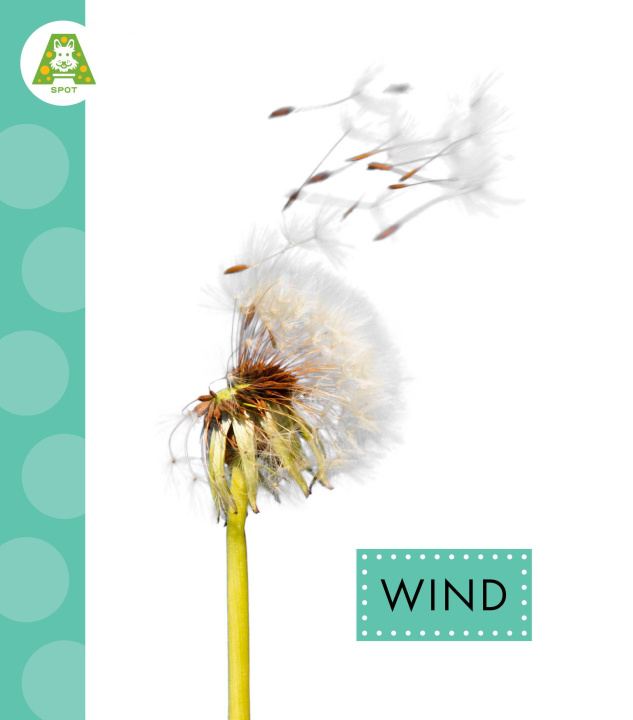 Könyv Wind 