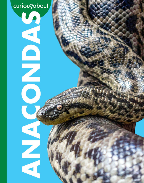 Kniha Curious about Anacondas 