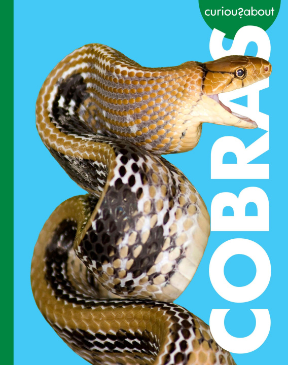 Kniha Curious about Cobras 