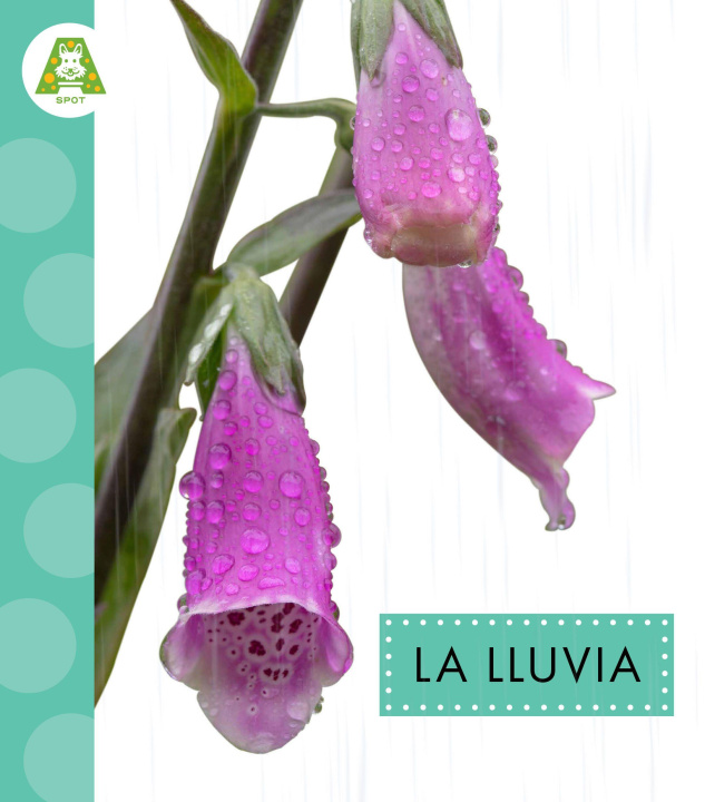 Kniha La Lluvia 