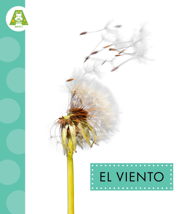 Kniha El Viento 