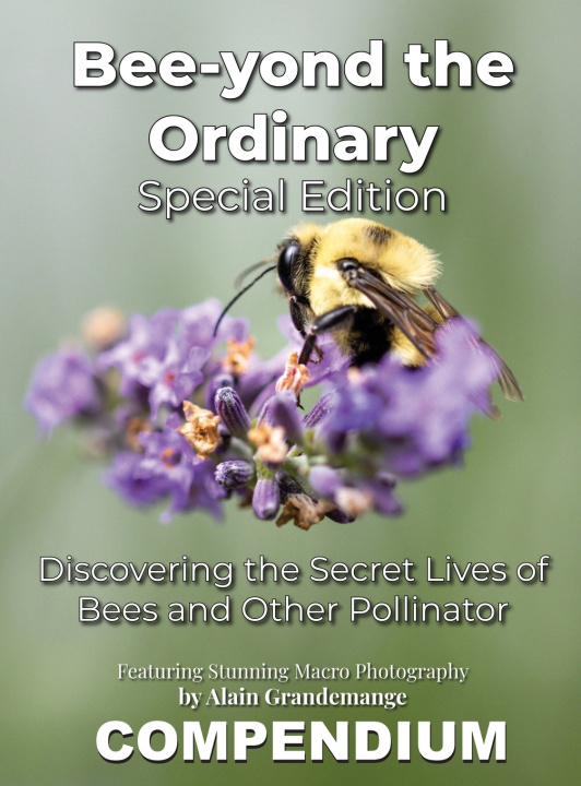 Kniha Bee-yond the Ordinary Alain Grandemange