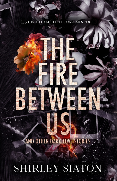 Kniha The Fire Between Us (The Discreet Edition) Shirley Siaton