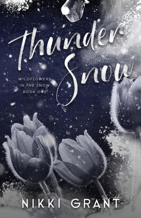 Kniha Thunder Snow discreet paperback Nikki Grant