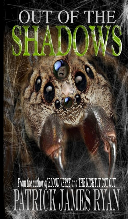 Boek Out of the Shadows Patrick James Ryan