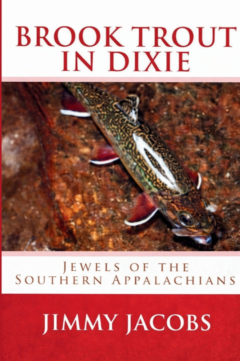 Kniha Brook Trout in Dixie Jimmy Jacobs