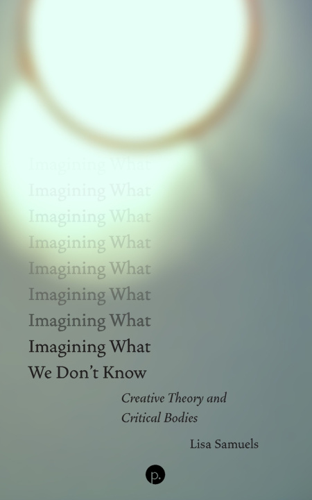 Kniha Imagining What We Don't Know Lisa Samuels