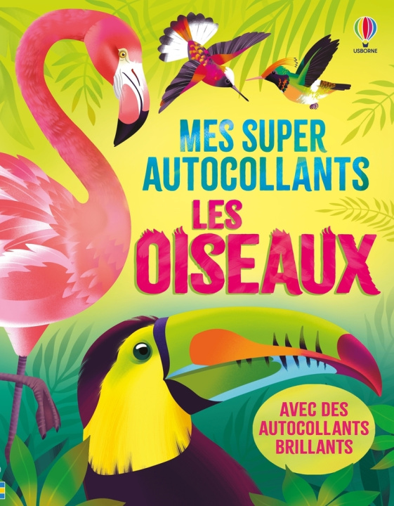 Kniha Les oiseaux - Mes super autocollants - dès 5 ans Alice James