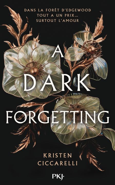 Kniha A Dark Forgetting Kristen Ciccarelli