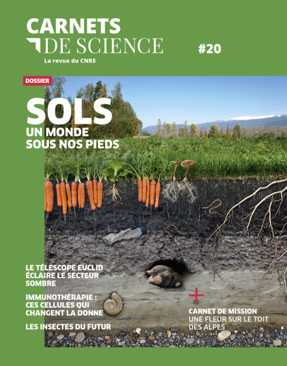 Knjiga Carnets de Sciences 20 