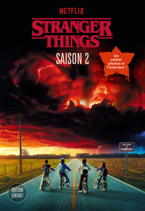 Könyv Stranger Things - Saison 2 Matthew J. Gilbert