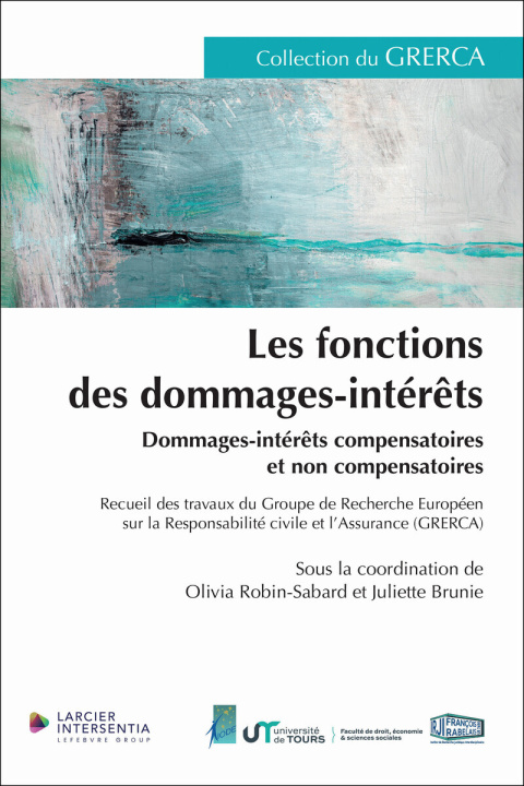 Kniha Les fonctions des dommages-intérêts - Dommages et intérêts compensatoires et non compensatoires Juliette Brunie