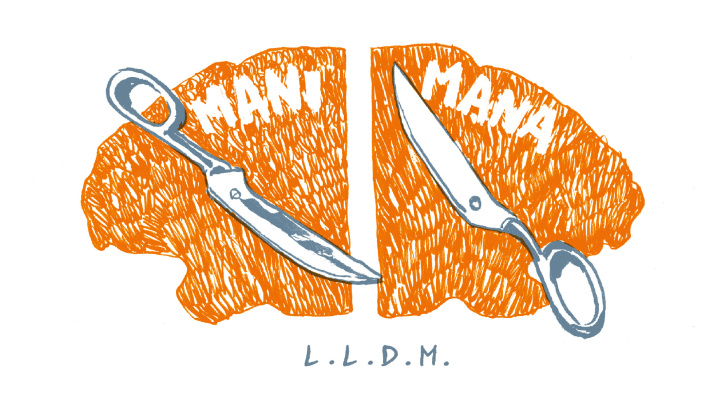 Knjiga Mani Mana L.L. de Mars