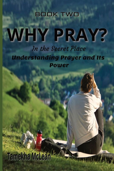 Kniha Why Pray? Tamekha McLean