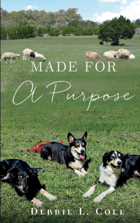 Kniha Made For A Purpose Author Debbie L. Cole