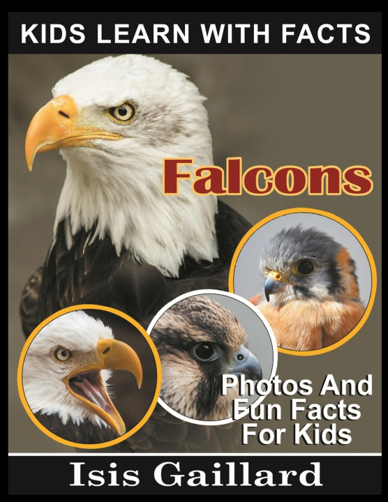 Kniha Falcons Isis Gaillard