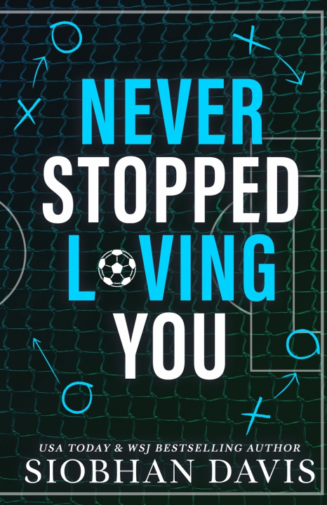 Kniha NEVER STOPPED LOVING YOU Siobhan Davis