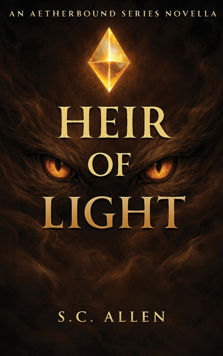 Kniha Heir of light S.C. Allen