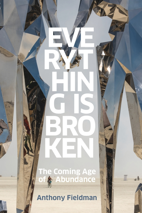 Knjiga Everything Is Broken Anthony Fieldman