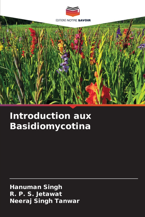 Kniha Introduction aux Basidiomycotina Hanuman Singh