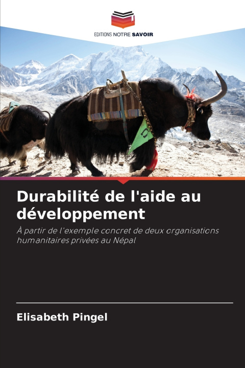 Knjiga Durabilité de l'aide au développement Elisabeth Pingel