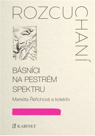 Kniha Rozcuchaní Markéta Řeřichová