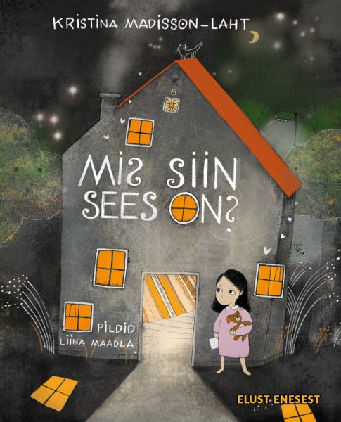 Knjiga Mis siin sees on? Kristina Madisson-laht