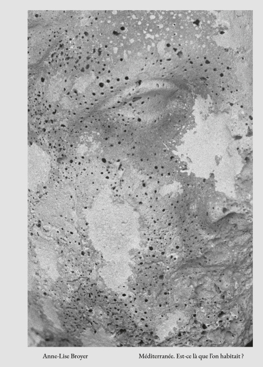 Knjiga Mediterranee - Rencontres d'Arles Broyer anne-lise